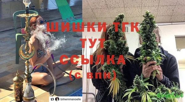 a pvp Аркадак