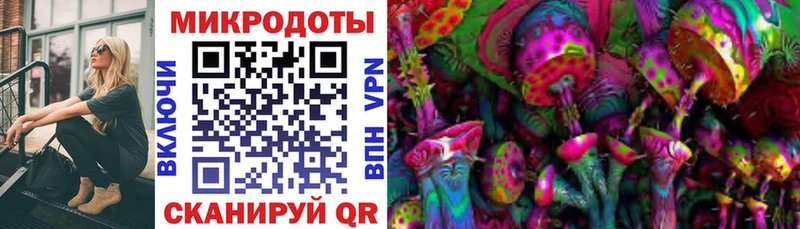 купить наркотик  Волгоград  Псилоцибиновые грибы мицелий 